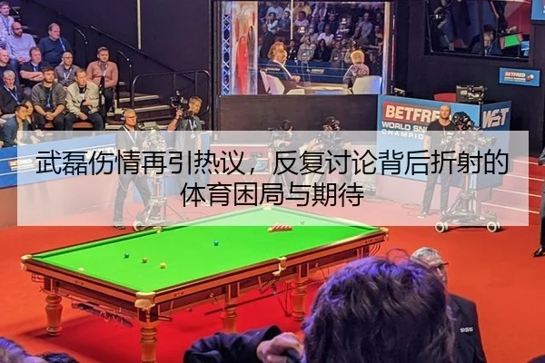 wu-lei-shang-qing-zai-yin-re-yi-fan-fu-tao-lun-bei-hou-zhe-she-de-ti-yu-kun-ju-yu-qi-dai-2-923.jpg